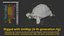 Giant Tortoise Rigged