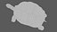 Giant Tortoise Rigged