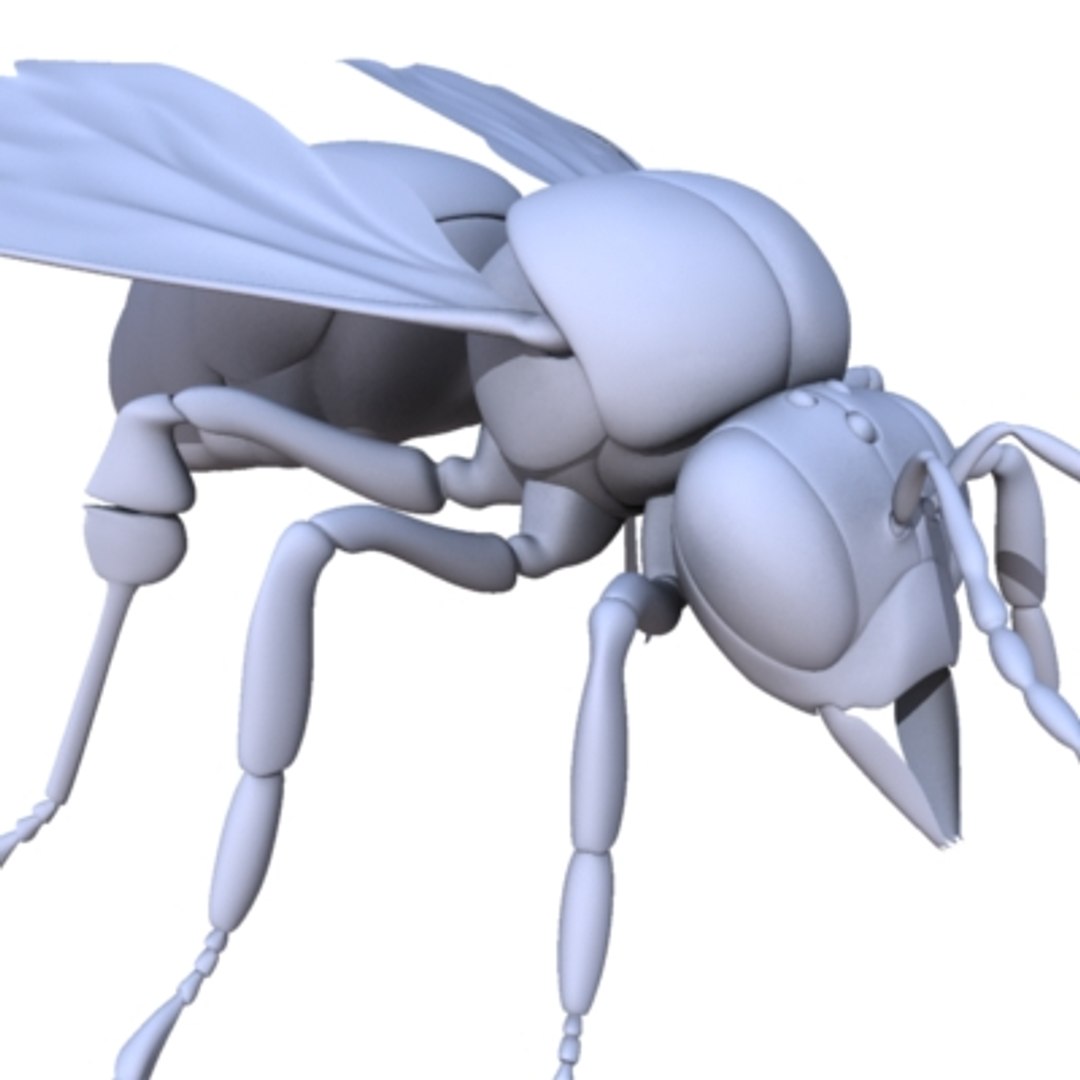 Bee Animation Max