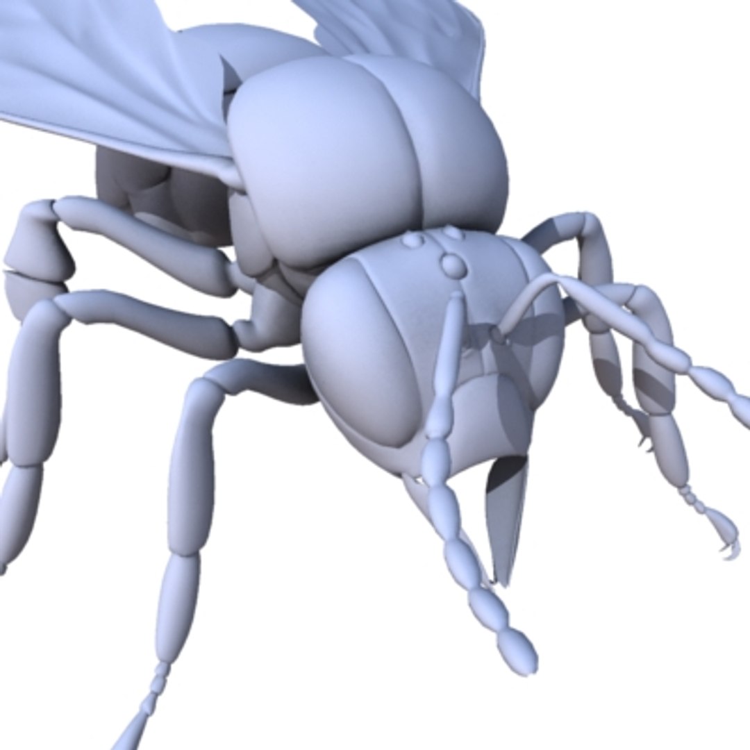 Bee Animation Max