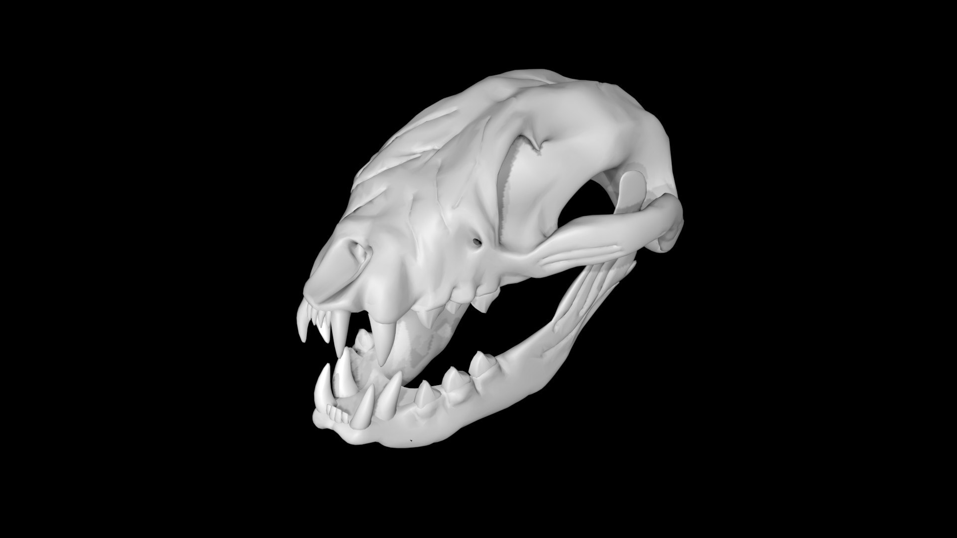 Raccoon skull 3D model https://p.turbosquid.com/ts-thumb/CI/gk2OZG/Oa/skull3/jpg/1651134622/1920x1080/fit_q87/363ec6d480d97a3ed1e8313d53e5a45ece053ca4/skull3.jpg