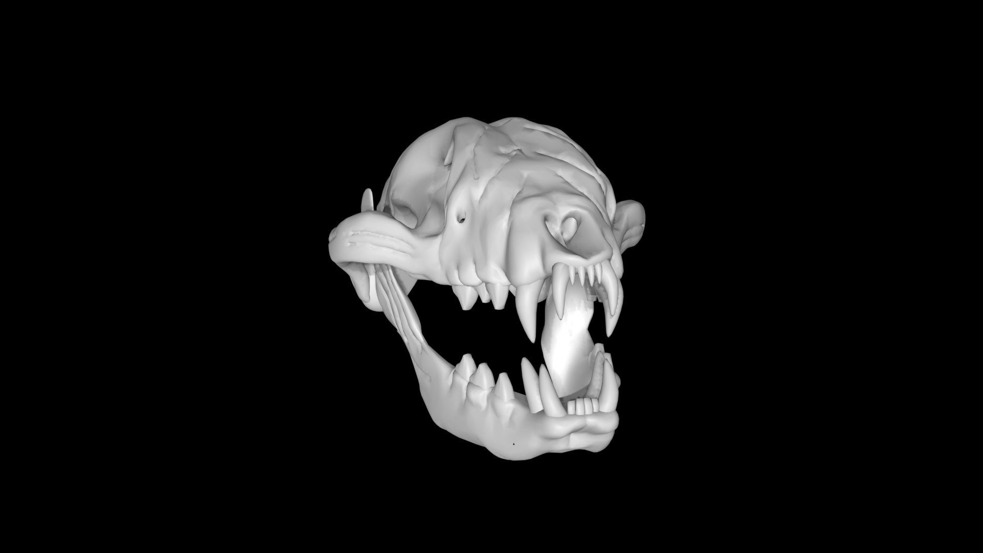 Raccoon skull 3D model https://p.turbosquid.com/ts-thumb/CI/gk2OZG/vi/skull6/jpg/1651134622/1920x1080/fit_q87/e7504d5524b13e5a205dac4c94d27e5150029ee6/skull6.jpg
