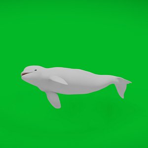 3D Beluga Whale