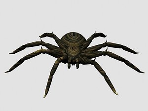 3d spider model