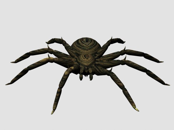 3d spider model