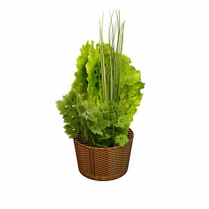3D Leafy Greens model