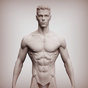 3D model Male anatomy constructor