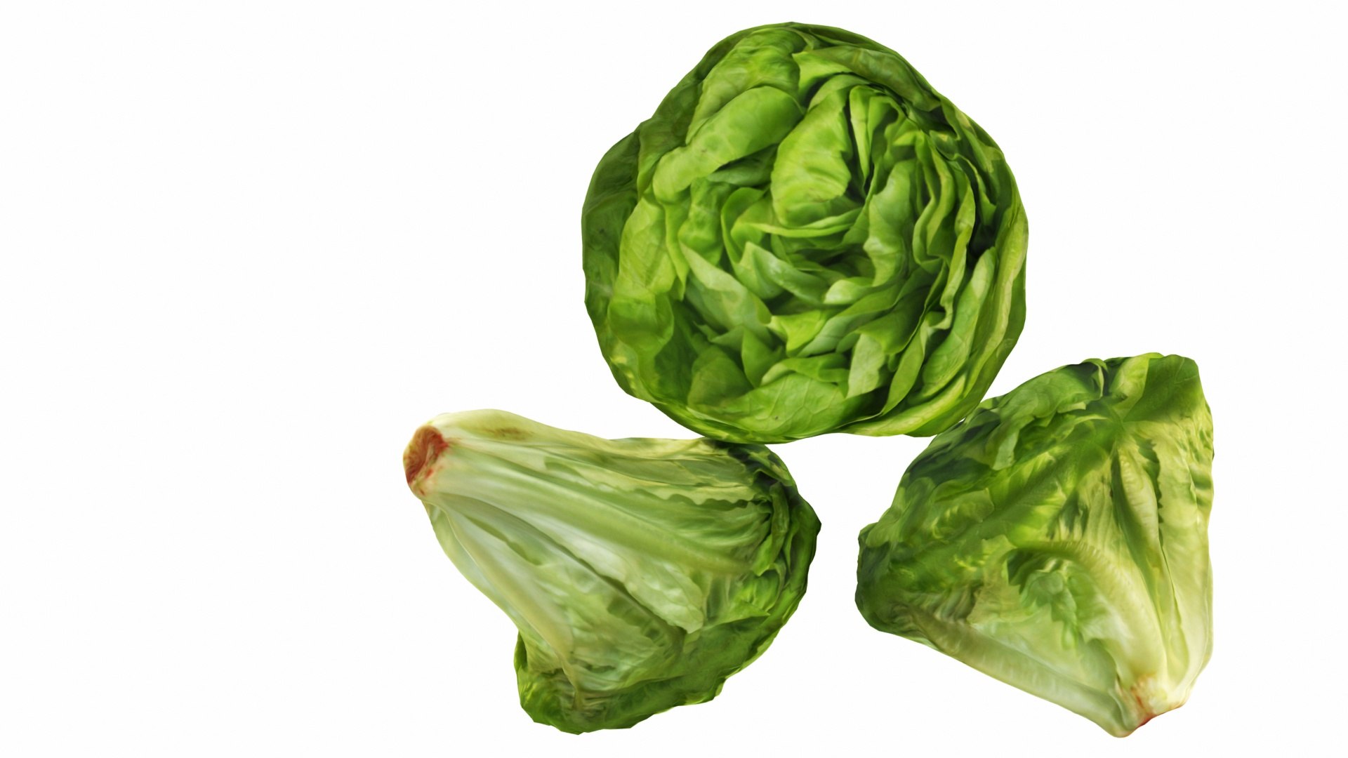 3D vegetable lettuce food https://p.turbosquid.com/ts-thumb/CJ/83VJbO/OBI4sLZZ/0lettuce7/jpg/1587802658/1920x1080/fit_q87/0be8b7180e5650d49d39c48f55f2e0b74013b657/0lettuce7.jpg