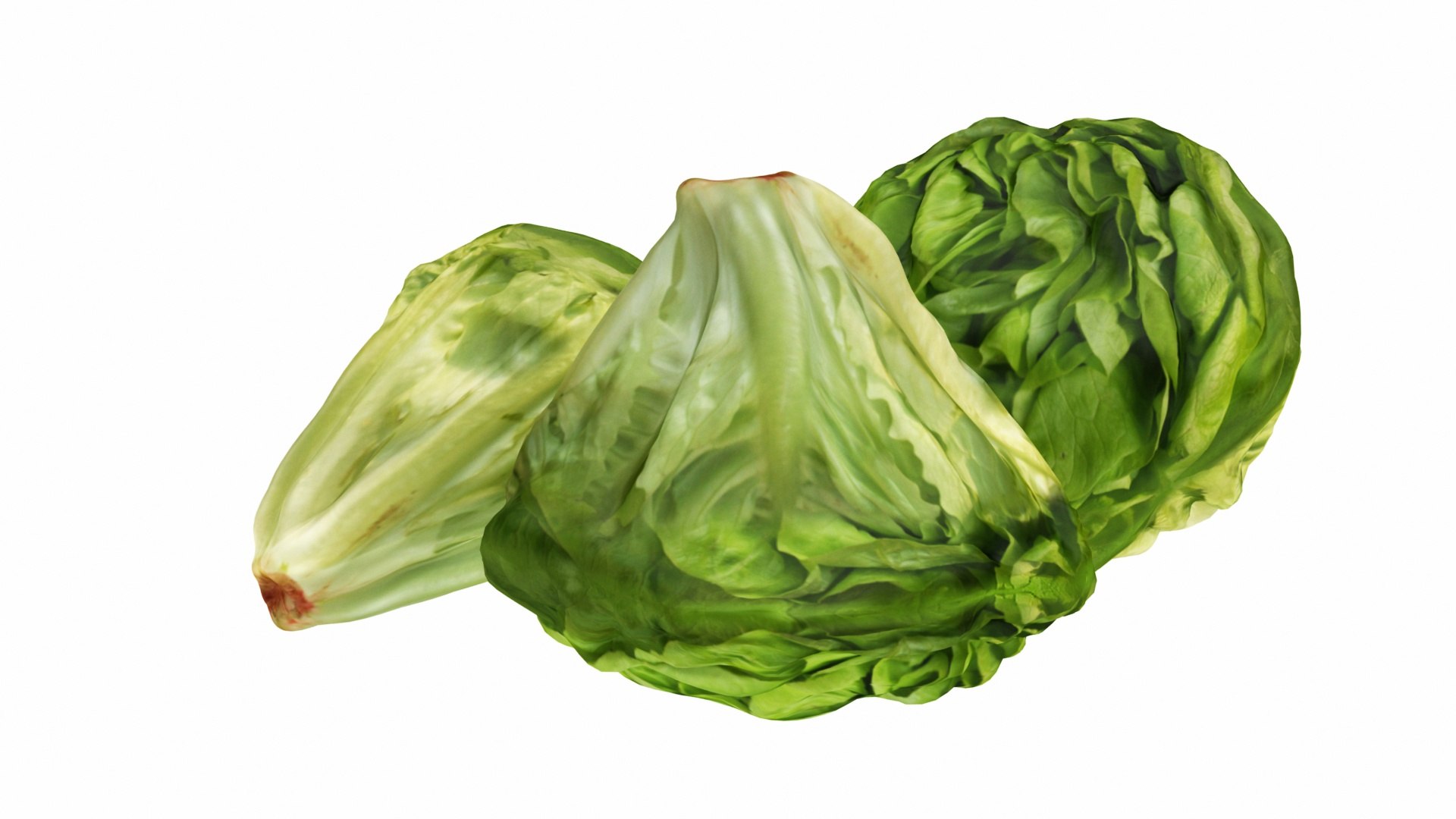 3D vegetable lettuce food https://p.turbosquid.com/ts-thumb/CJ/83VJbO/RGeJpK4E/0lettuce6/jpg/1587802658/1920x1080/fit_q87/06e202da6ed6aadd0127c71f456efce95d264305/0lettuce6.jpg