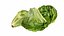 Lechuga