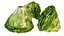 Lechuga