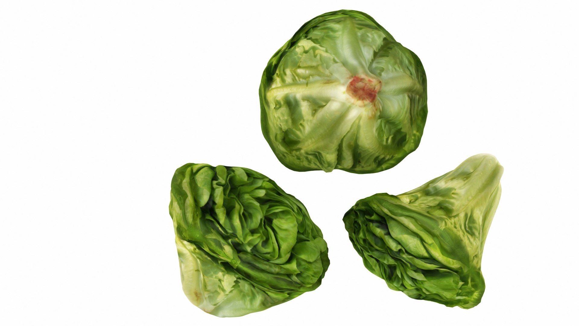 3D vegetable lettuce food https://p.turbosquid.com/ts-thumb/CJ/83VJbO/brroq8Kg/0lettuce5/jpg/1587802658/1920x1080/fit_q87/7c307e5dcb0c34ab5812fd46a415c70ced2affb3/0lettuce5.jpg