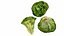 Lechuga