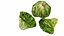 Lechuga