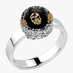 Skeleton In Well Silver Ring Exclusive 3D model