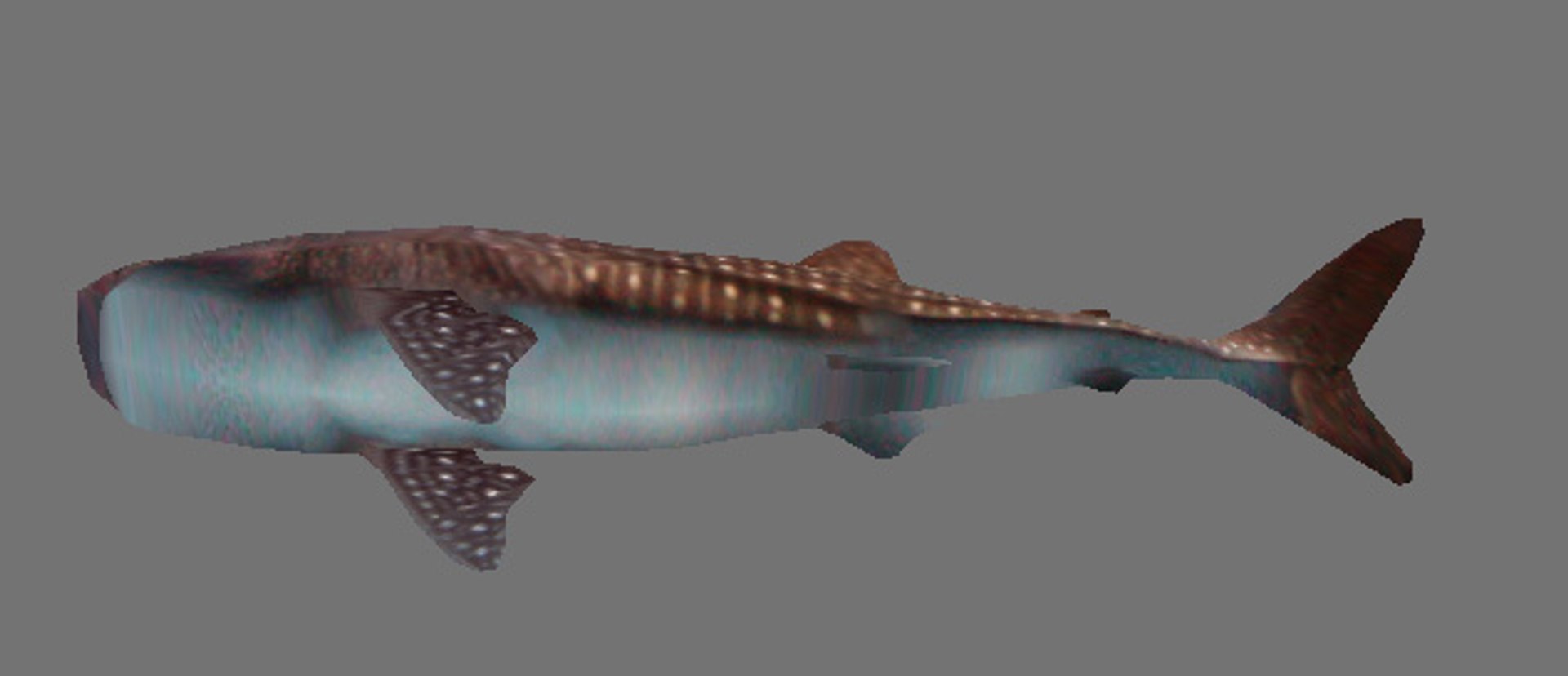 3d Model Shark Games