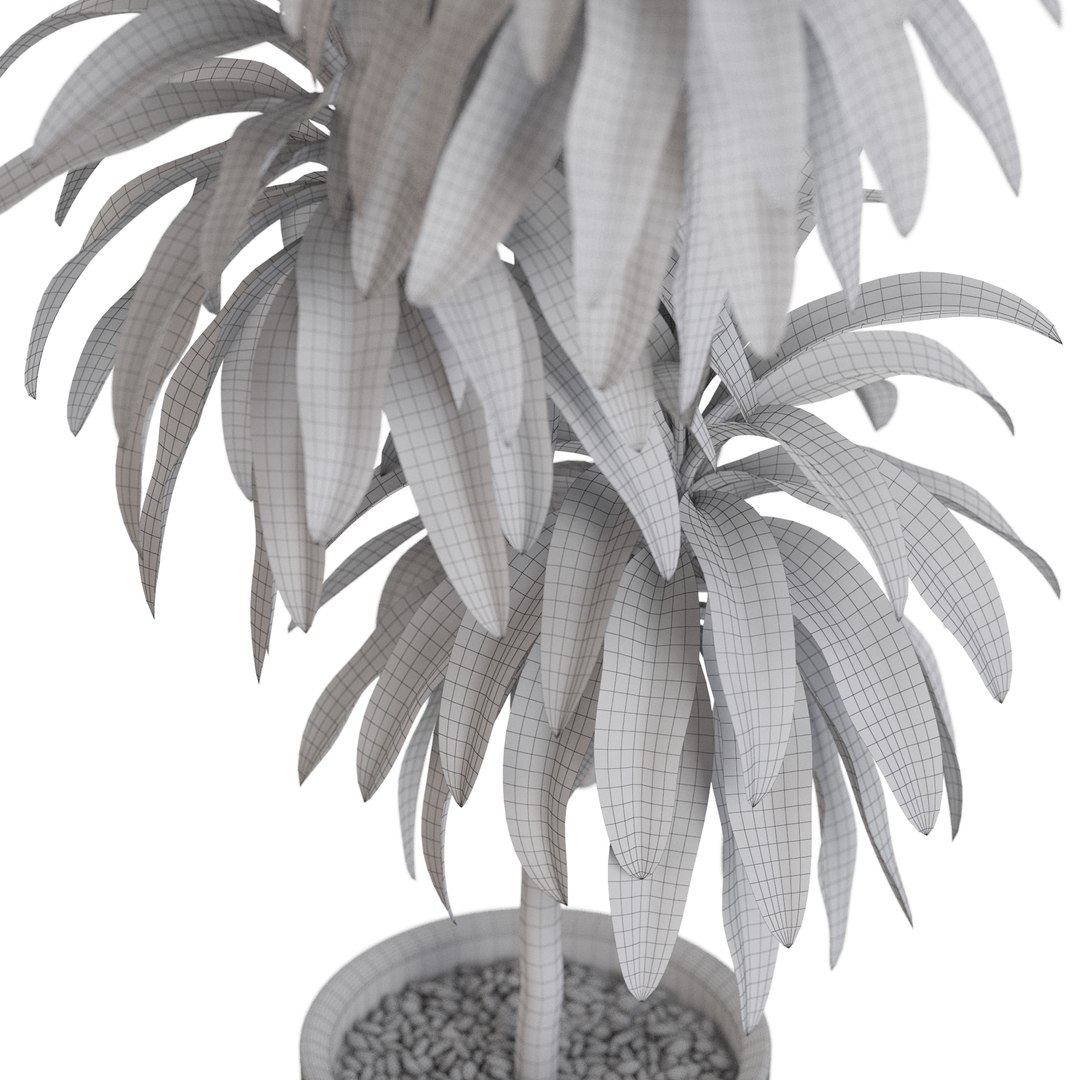 Plants collection 1176 3D https://p.turbosquid.com/ts-thumb/CJ/HpZVlP/Ew/plant_1176_05/jpg/1729675546/1920x1080/fit_q87/d51c682bb97396af3f5587437bdcbb1f1ec51752/plant_1176_05.jpg