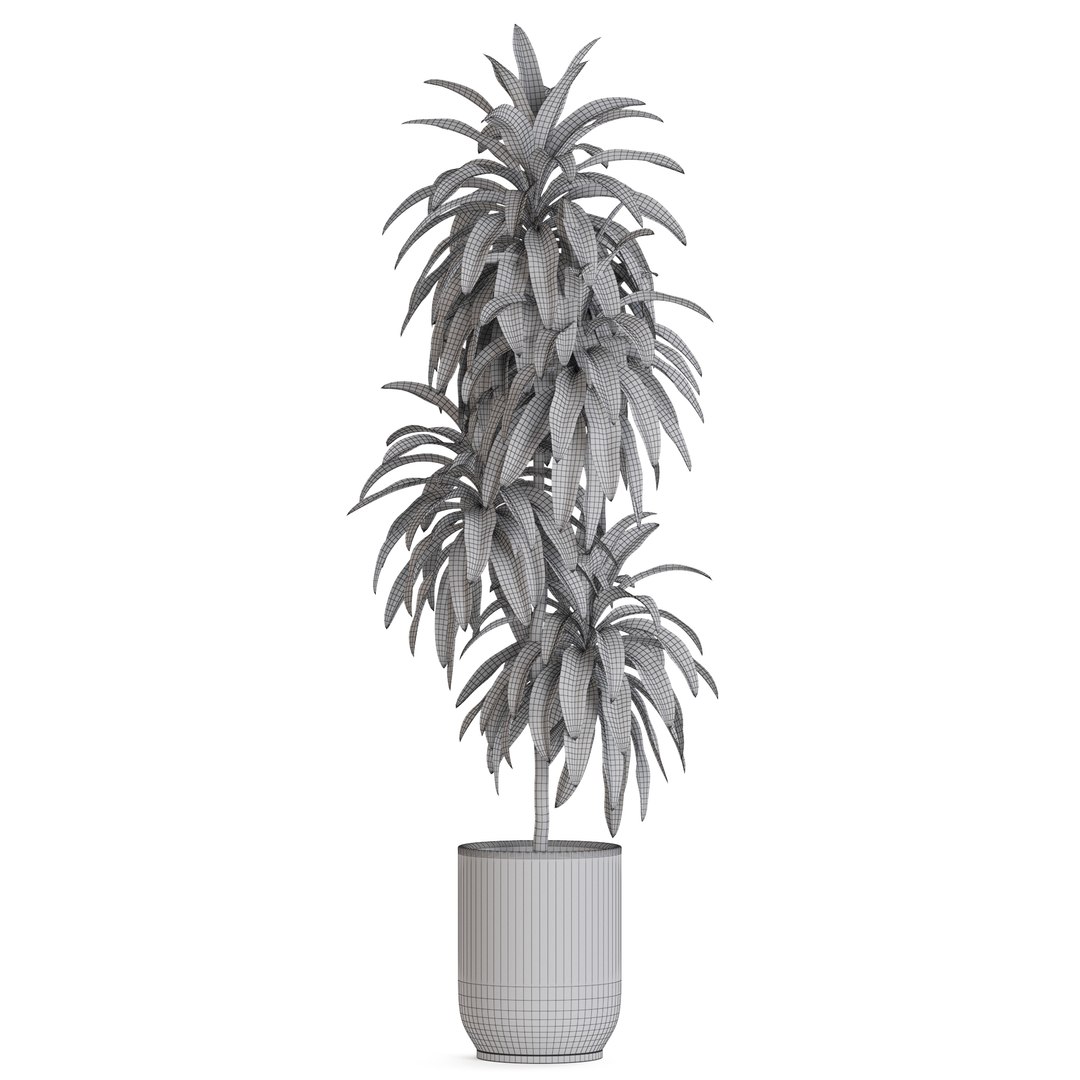 Plants collection 1176 3D https://p.turbosquid.com/ts-thumb/CJ/HpZVlP/Fs/plant_1176_04/jpg/1729675545/1920x1080/fit_q87/8f158a39de406243ac6e658a3f86194edf2a8787/plant_1176_04.jpg