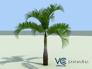 palm tree 3d max