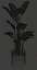 Potted plant green