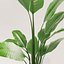 Potted plant green