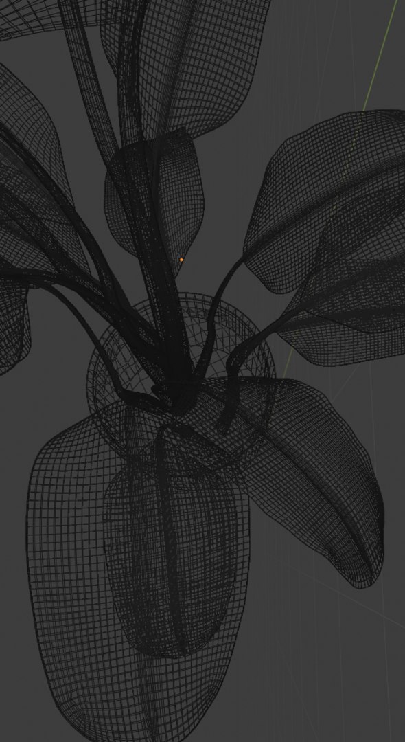 plant green 3D https://p.turbosquid.com/ts-thumb/CJ/V886Q9/XxvqUuDo/wideframe1/png/1585598456/1920x1080/fit_q87/511734078b25bad69c793d35d07f3df8b9234949/wideframe1.jpg