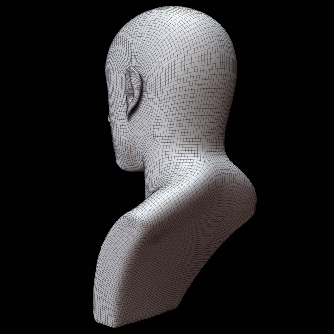 Mannequin head man 3D model - TurboSquid 1323629