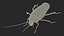 3D Animated Cockroach Creeps Rigged for Cinema 4D