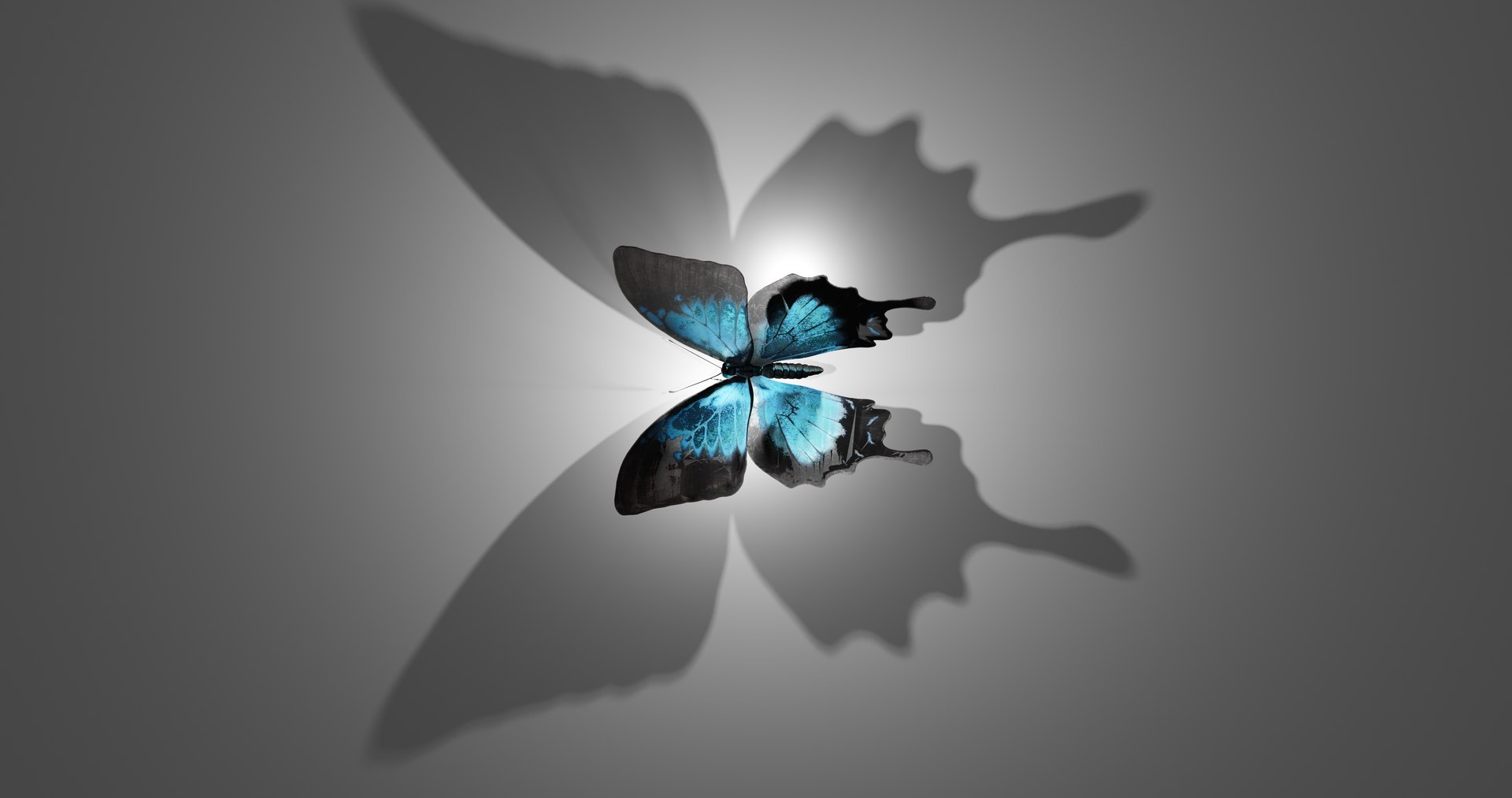 3D Model Butterfly - TurboSquid 1986786