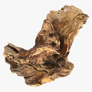3D model Tree Trunk Piece 03 - Raw Scan