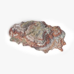 Rock Island scan