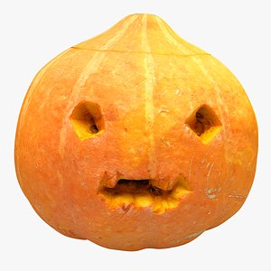 Pumpkin 03
