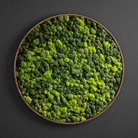 panel moss circle