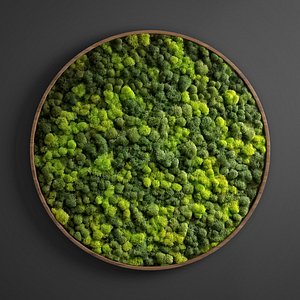 panel moss circle