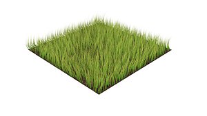 Grass 3D model