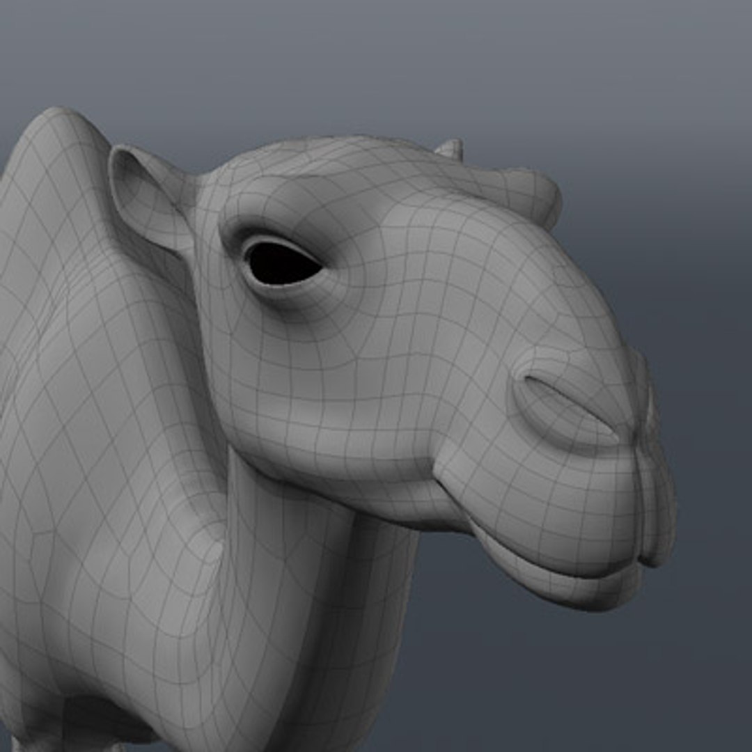 3d model african camel https://p.turbosquid.com/ts-thumb/CK/EHuT9f/TLvktxmb/04/jpg/1254176742/1920x1080/fit_q87/0fa04cb4ecbb4d552b774f07261f348ed04882bc/04.jpg