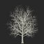 3ds max winter trees