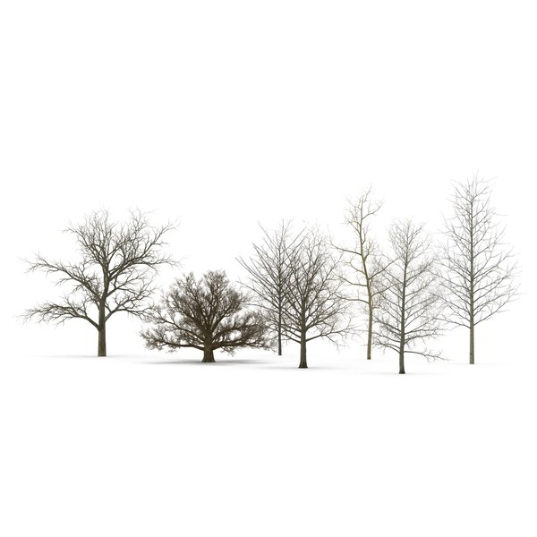 3ds max winter trees