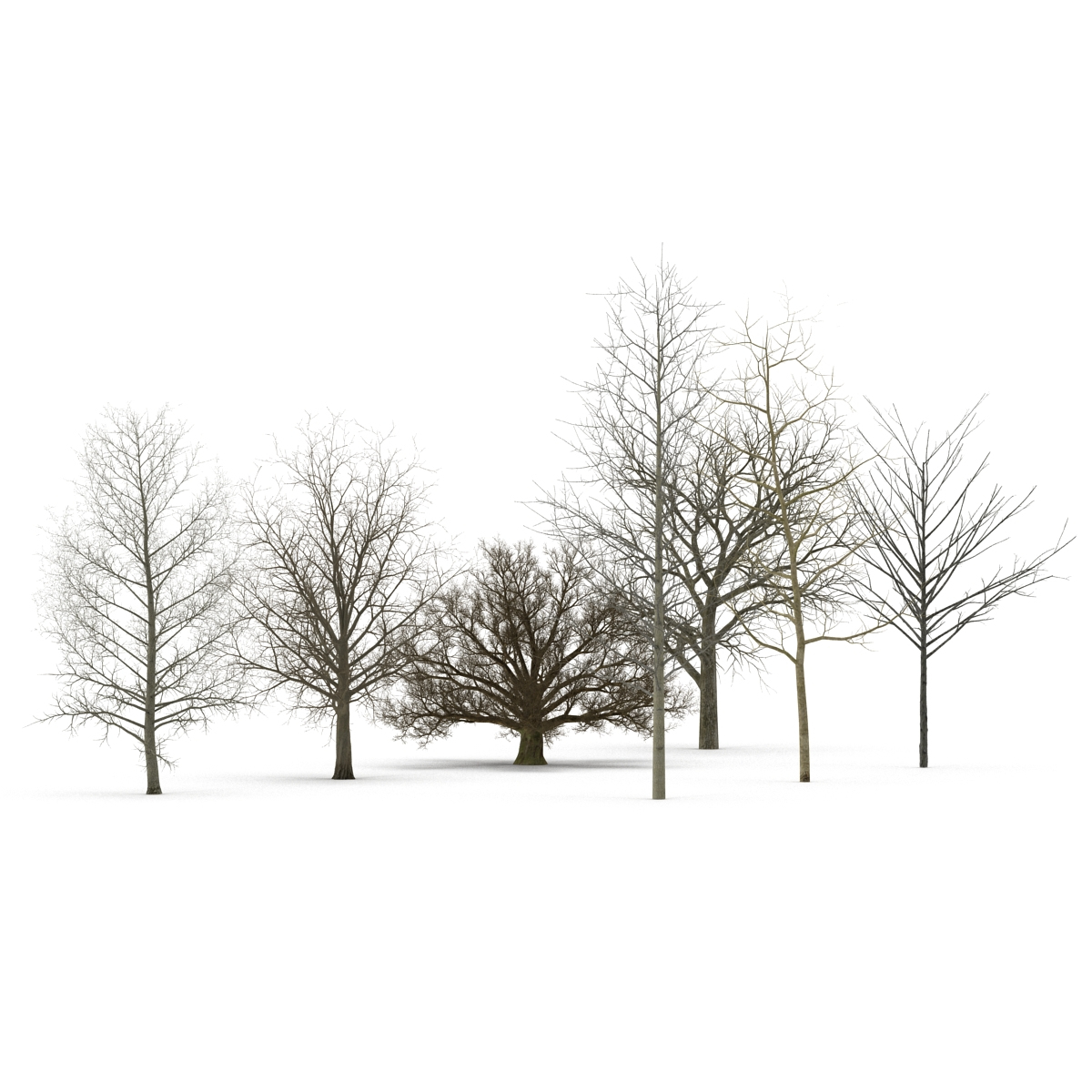 3ds max winter trees