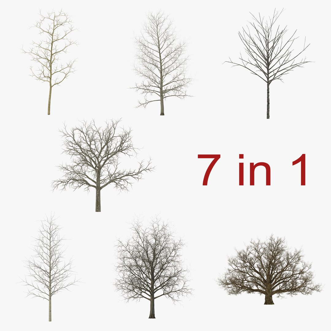 3ds max winter trees https://p.turbosquid.com/ts-thumb/CK/HTZ6nl/mVh3eBfq/wintertreescollection3dmodels00/jpg/1443876326/1920x1080/fit_q87/559595bb0a5d4c5d640ae5b08d392aa6faf70bf5/wintertreescollection3dmodels00.jpg