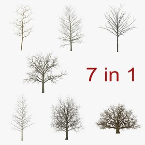 3ds max winter trees