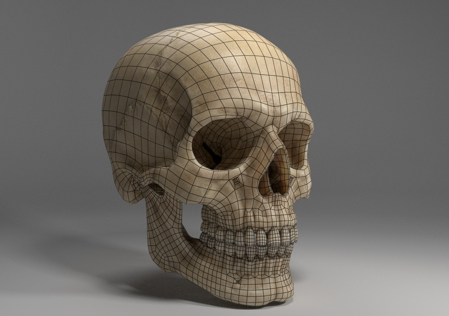 3D sculpted human skull model https://p.turbosquid.com/ts-thumb/CK/NKvjw2/2a1bfUkH/renderwireframelowres/png/1536636397/1920x1080/fit_q87/8d66476416ee0dd870c5d5542190d7aaa4d647a0/renderwireframelowres.jpg