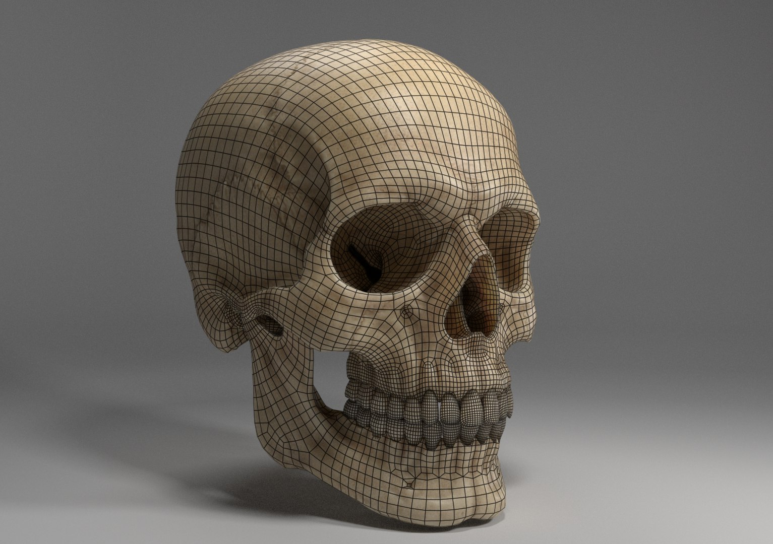 3D sculpted human skull model https://p.turbosquid.com/ts-thumb/CK/NKvjw2/7k1YYXTy/renderwireframemedres/png/1536636397/1920x1080/fit_q87/2e0fa2bcad5bfc299c595fe60f62a3ba6b7b0f2e/renderwireframemedres.jpg