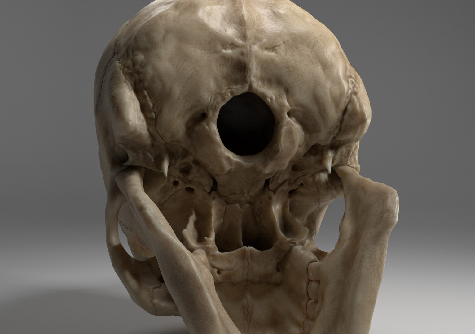 3D sculpted human skull model https://p.turbosquid.com/ts-thumb/CK/NKvjw2/IFJfBTBh/render4/png/1536636397/1920x1080/fit_q87/3b1764a1bea49bab84b17ad06d9a014123f5ec99/render4.jpg