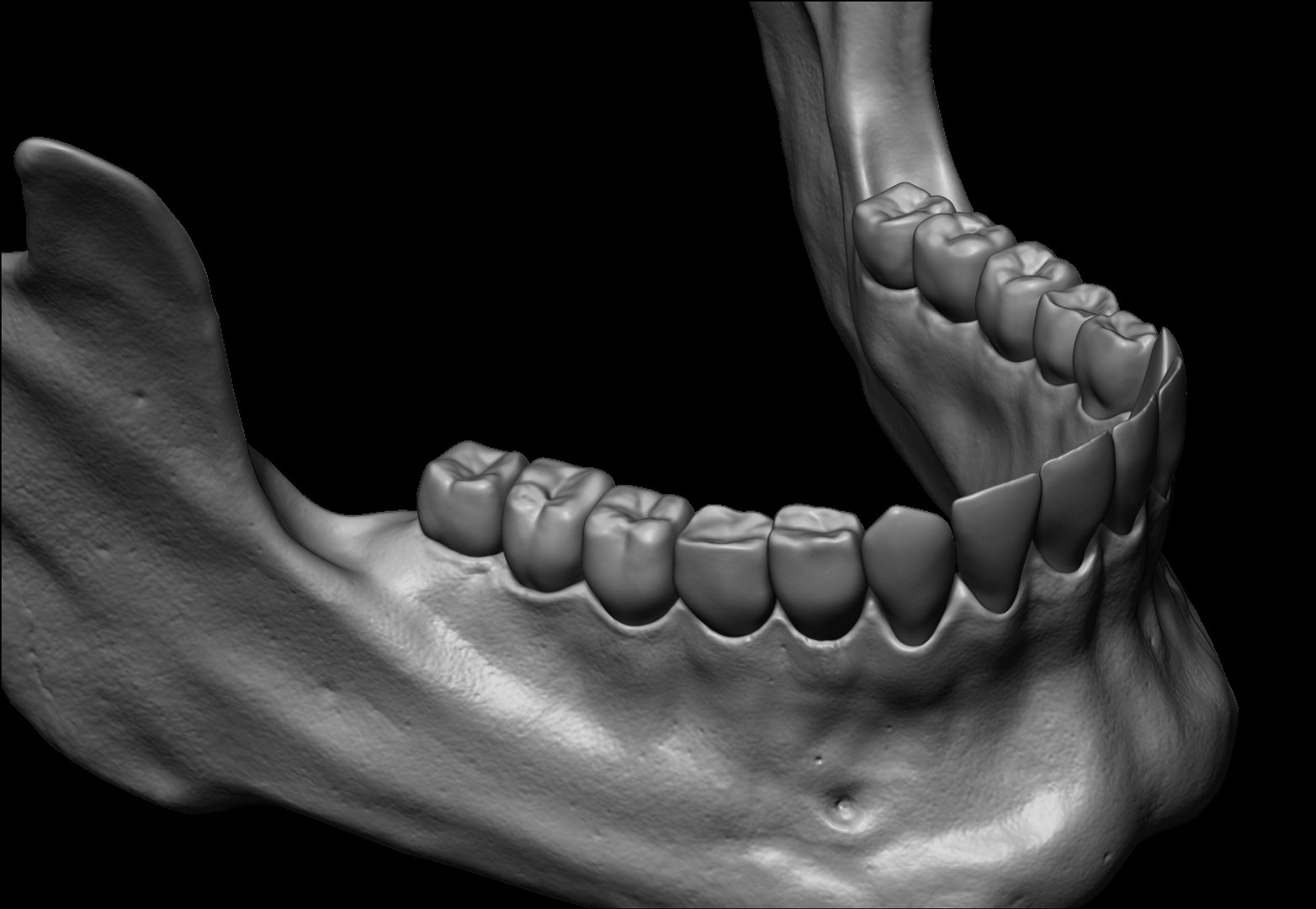 3D sculpted human skull model https://p.turbosquid.com/ts-thumb/CK/NKvjw2/tWaUTbtD/sculpt3/jpg/1536526696/1920x1080/fit_q87/49de811bb0e974c4b89372b75a8c4681eccc63bb/sculpt3.jpg