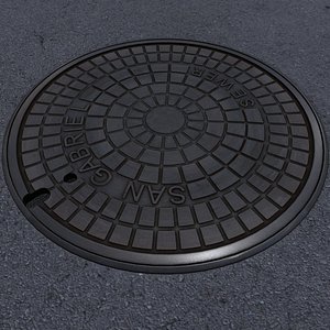 sewer lid max