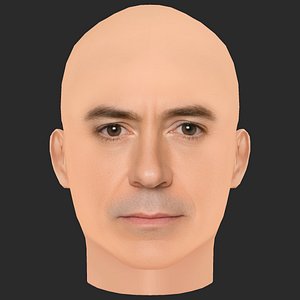 Low Poly Robert Downey Jr Head model