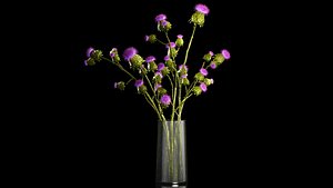 Beautiful bouquet of dried Thistle thorn flowers in a glass vase 292 3D model