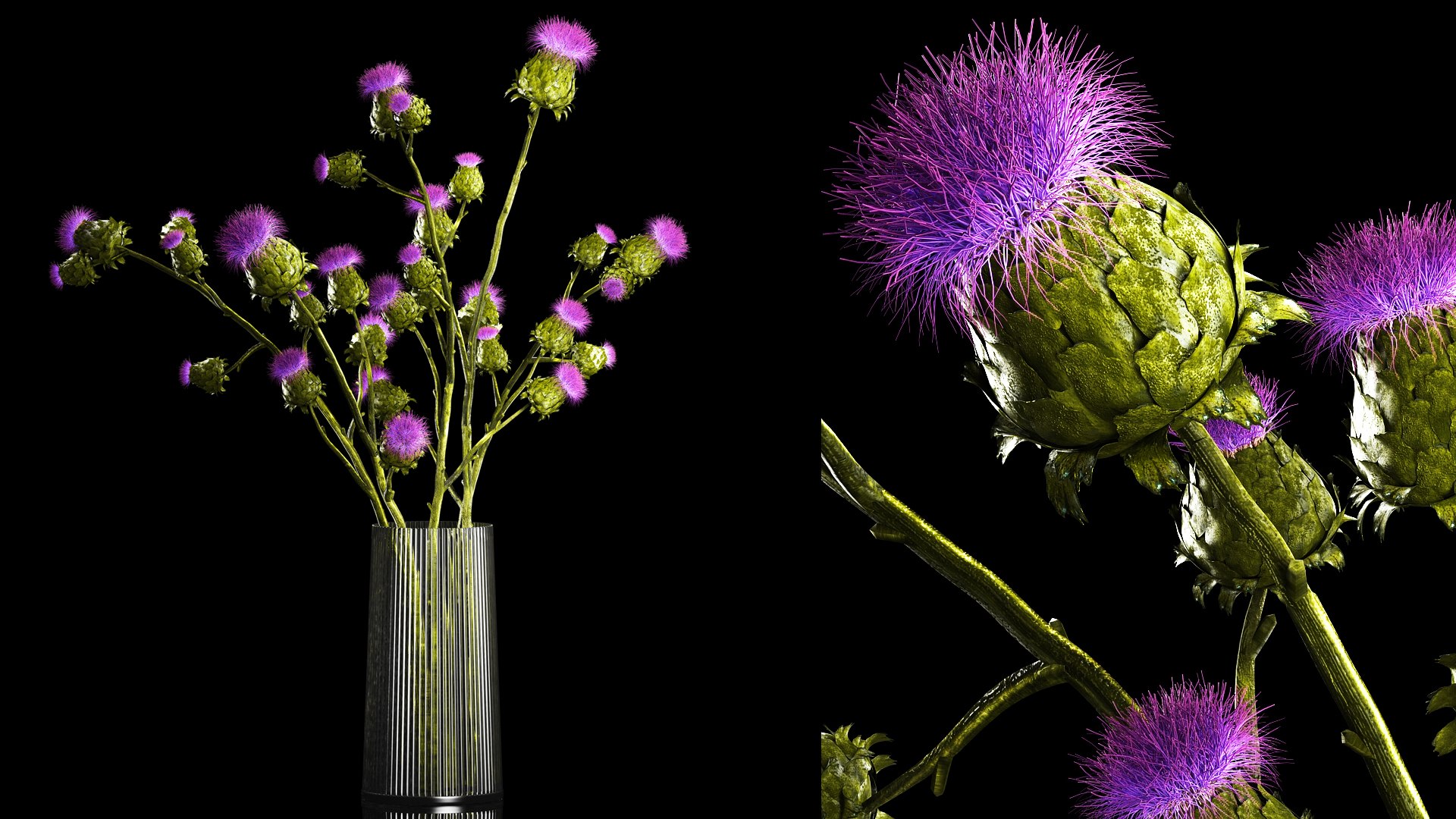 Beautiful bouquet of dried Thistle thorn flowers in a glass vase 292 3D model https://p.turbosquid.com/ts-thumb/CK/sBdtDx/ko/1thistlegreen29072302/jpg/1690811750/1920x1080/fit_q87/6ddd42dfe60239534316365519c6762529c4ab31/1thistlegreen29072302.jpg