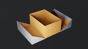 Packaging 3D model